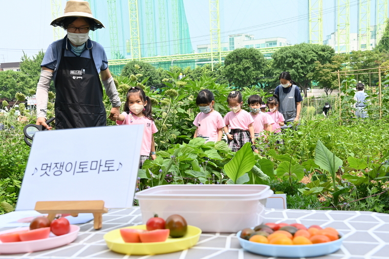  탑동시민농장 텃밭에서 도시농업 전문가들과 함께 유아 치유생태텃밭 프로그램에 참여하고 있는 어린이들. 사진제공/수원시)