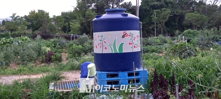 ‘탑동시민농장’에서 텃밭을 일구고 있는 시민들을 위해 조성된 대형크 물탱크. (사진/최재우기자)