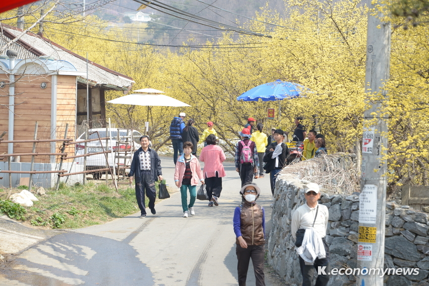  양평산수유한우 축제에 찾아온 관광객들 (사진제공 = 양평군청)