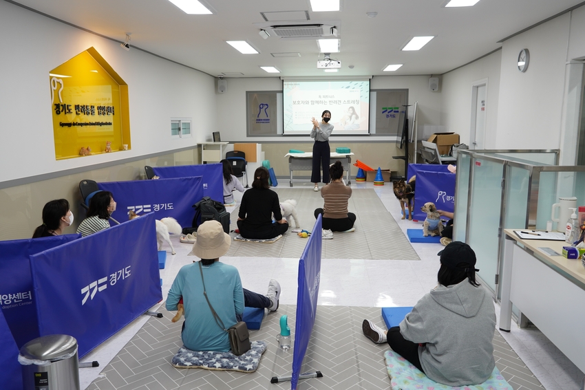경기도가 이번에 처음으로 ‘반려 가족 문화교육-서툴러도 괜찮아요’를 진행한다. / 사진 제공 : 경기도