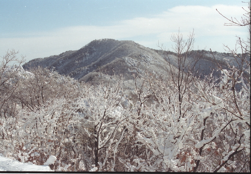 광교산 설경 <수원시 제공>
