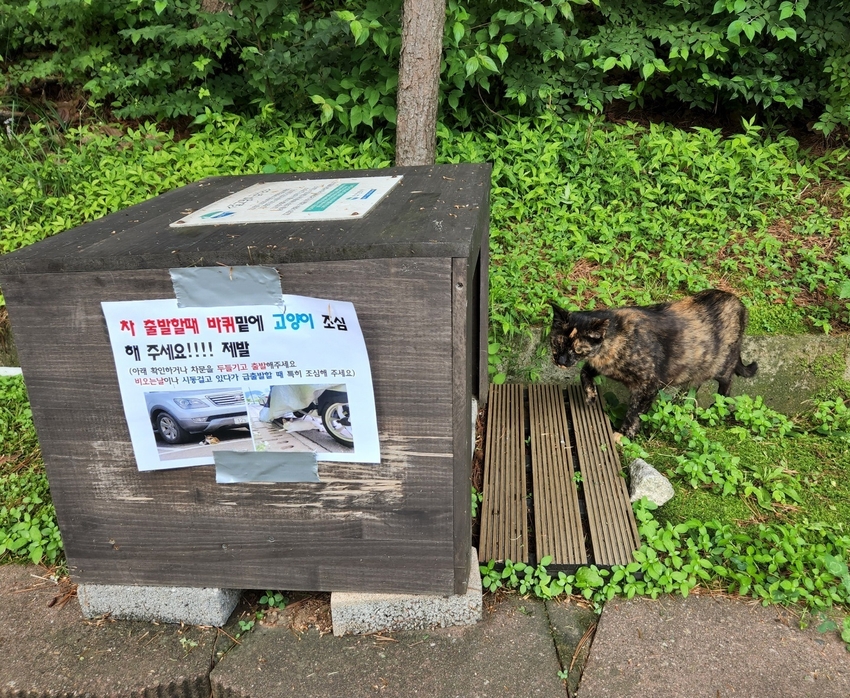경기도가 추진하고 있는 길고양이 급식소 <경기도 제공>