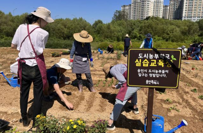 지난해 도시농부학교 텃밭교육에 참가한 시민들 모습 <용인특례시 제공>