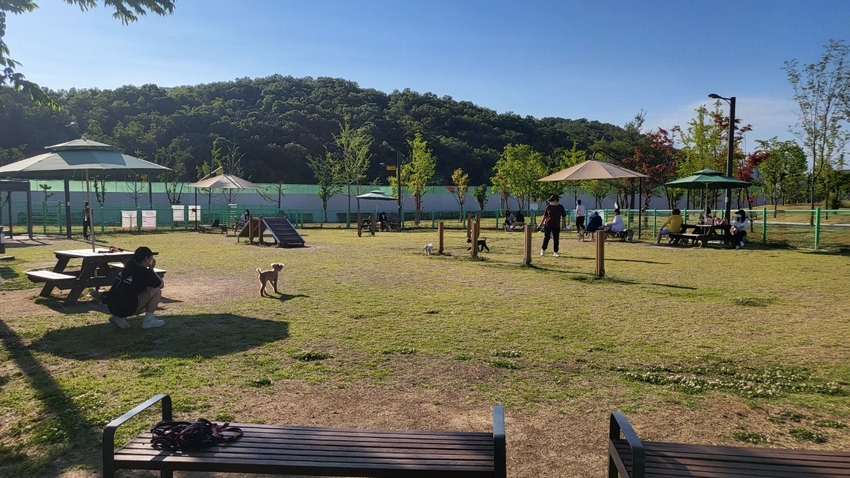 반려가족 놀이터(동탄여울공원) <화성시 제공>