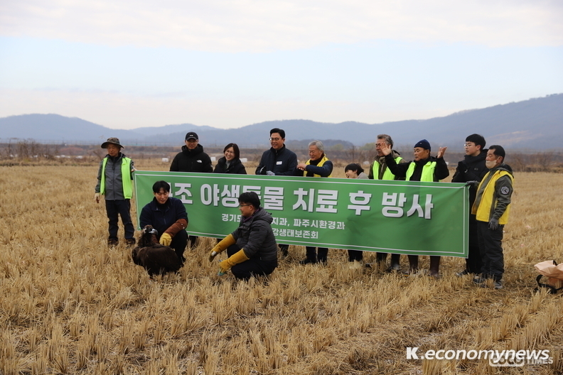 지난 5월 연천군에서 탈진한 상태로 발견, 구조 후 치료와 재활 등 돌봄을 받아온 천연기념물 ‘독수리’가 11월 30일 파주 독수리식당(Vulture Restaurant) 개장 행사를 통해 자연으로 돌아갔다. <경기도 제공>