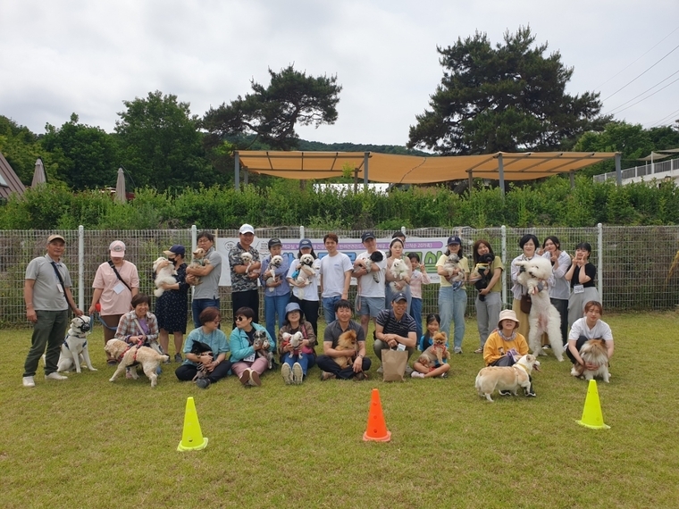 <여주시청 제공>