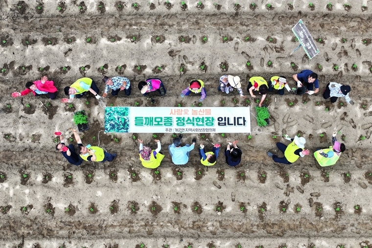 <사진제공 전관영>