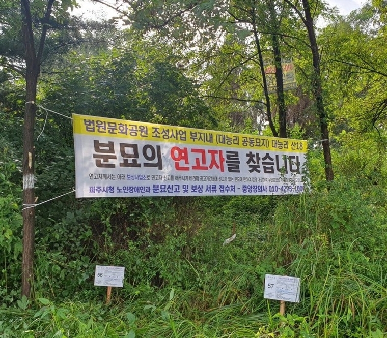 파주시 법원읍 대능리 공동묘지 내 무연분묘 일제 정비 <파주시 제공>