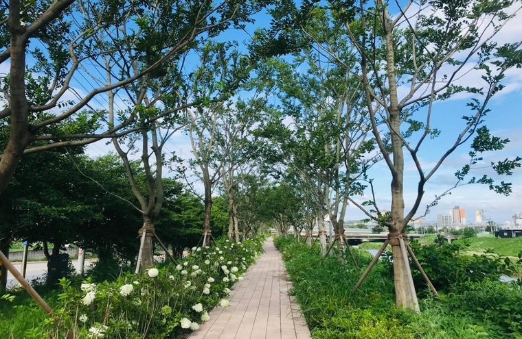 평택 바람길 숲 <경기도 제공>