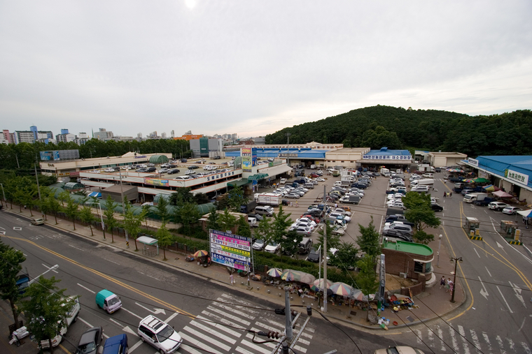 안산시농수산물도매시장 전경 <안산시 제공>