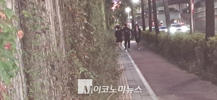 <강소하 기자>