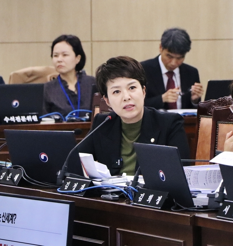국감에서 발언하는 김은혜의원 <김은혜의원실 제공>