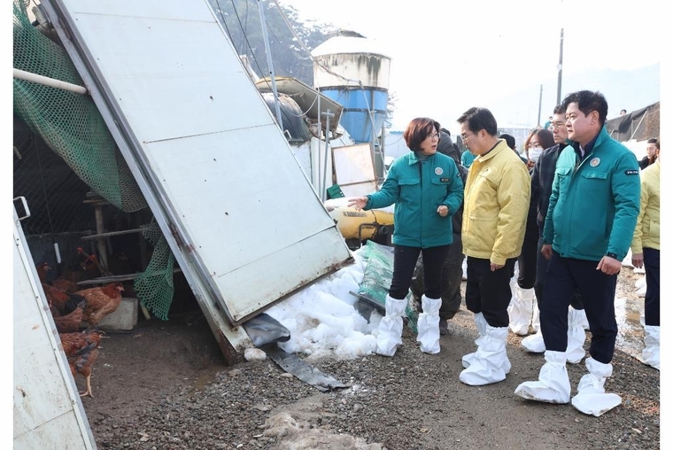 2일 오전 김동연 도지사가 김보라 안성시장 윤종근국회의원 등과 함께 양계장 대설피해지역을 현장방문해 피해현장을 확인하고있다 <경기도 제공>